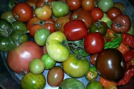 Appartamento Kuca Skrabic Baška Voda Esterno foto